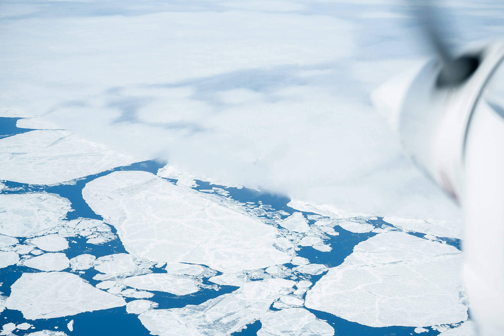 Broken sea ice and deep blue water beneath the aircraft